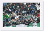 DSC_  tifosi avellino martina  11 marzo 2007   _12_  * Foto:Franco D'Addona * 746 x 500 * (147KB)